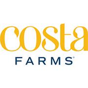 Costa Farms tile